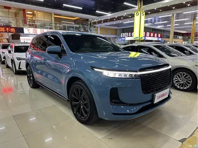 2021 Li Auto Li ONE Extended Range 6-Seater, фото 3, лот 10824902