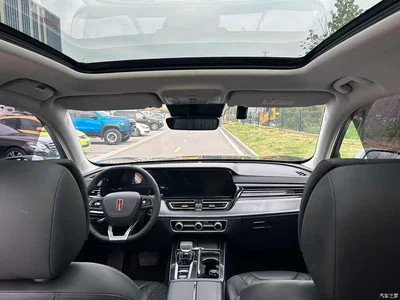 2023 Hongqi HS5 2.0T AWD Flag Pro 500,000 Units Commemorative Edition, фото 3, лот 10361010