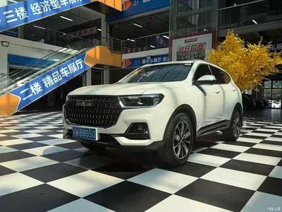 2023 Haval H6 National Trend Edition 1.5T Automatic Champion, фото 1, лот 10283149