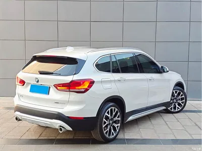 2020 BMW X1 xDrive25Li Premium Edition, фото 3, лот 10466474