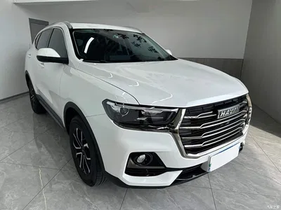 2021 Haval H6 National Trend Edition 1.5T Automatic Urban Edition, фото 3, лот 10282206
