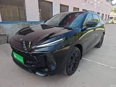 2021 Dongfeng Fengxing T5 EVO 1.5TD DCT Diamond Edition, фото 2, лот 11151615