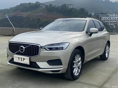2019 Volvo XC60 T5 4WD Intelligent Ease China VI, фото 1, лот 10362636