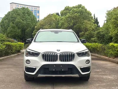 2019 BMW X1 sDrive20Li Leading Model, фото 3, лот 10465812
