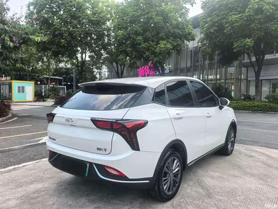 2022 Nezha Auto Nezha V Trend 400 Lite, фото 4, лот 10824304