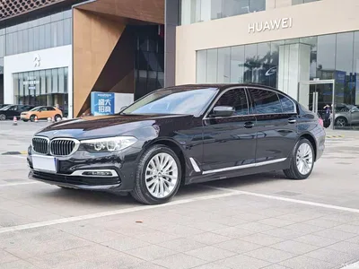 2019 BMW 5 Series 530Li Leading Luxury Package, фото 1, лот 10445976