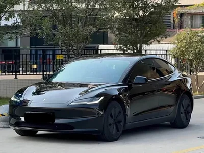 2025 Tesla Model 3 Model Rear-Wheel Drive Edition, фото 1, лот 10358885