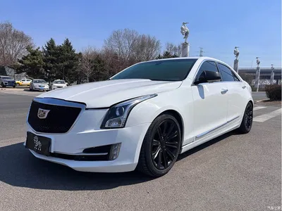 2016 Cadillac ATS-L 28T Fashion Model, фото 1, лот 10263251