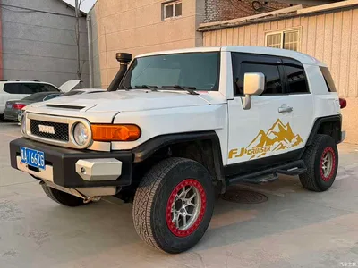 2007 Toyota FJ Cruiser 4.0L, фото 1, лот 10386128