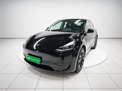 2023 Tesla Model Y Rear-Wheel Drive Edition, фото 2, лот 10369685