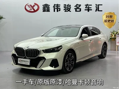 2024 BMW 5 Series 530Li Leading M Sport Package, фото 1, лот 10444912