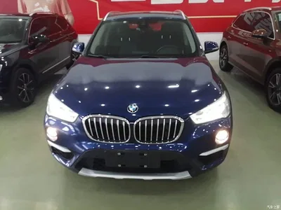 2019 BMW X1 xDrive20Li Luxury Model, фото 3, лот 10471214