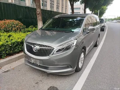 2018 Buick GL8 ES 28T Premium Type China VI, фото 2, лот 10258887