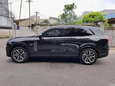 2023 Lynk & Co 09 EM-P 2.0TD EM-P AWD Asian Games Executive Edition 5-Seater, фото 3, лот 10314660