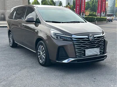 2023 Buick GL8 Model Land Business Class Comfort, фото 3, лот 11531379