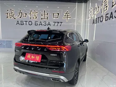 2021 Haval H6 National Trend Edition 1.5T Automatic Urban Edition, фото 4, лот 10297171