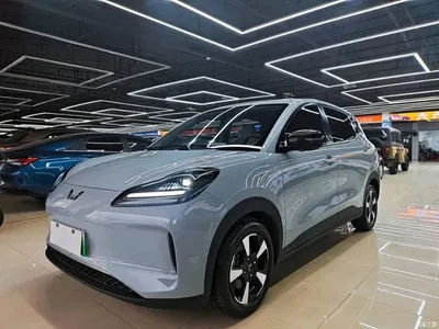 2024 Wuling Motors Wuling Binguo PLUS Model 330km 5-Seater, фото 1, лот 10836386