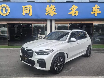 2022 BMW X5 Facelift xDrive 30Li M Sport Package, фото 1, лот 10463071