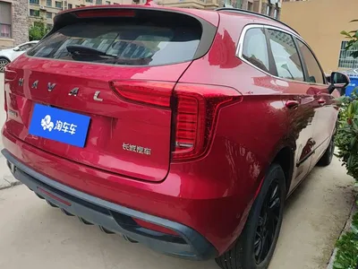 2021 Haval First Love 1.5T Automatic Premium Edition, фото 3, лот 11150198
