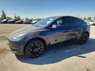 2024 TESLA MODEL Y, фото 1, лот 10851308