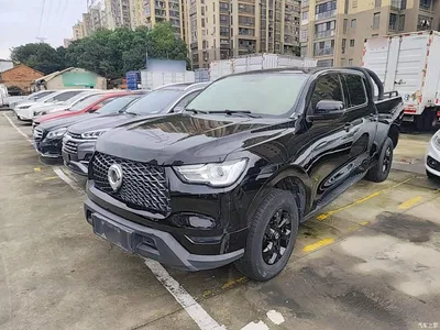 2021 Great Wall Pao 2.0T Commercial Edition Automatic Diesel 4WD Elite Long Box GW4D20M, фото 1, лот 11513450