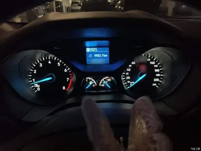 2015 Ford Focus Hatchback 1.6L Automatic Comfort, фото 4, лот 10282138