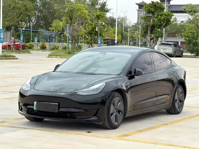 2022 Tesla Model 3 Model Rear-Wheel Drive Version, фото 1, лот 10346655