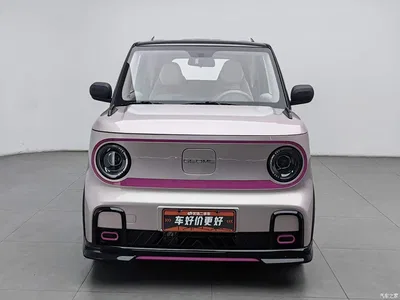 2025 Geely Galaxy Panda Model Year 210km Panda Kart, фото 3, лот 11103284