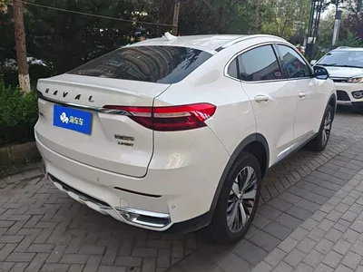 2019 Haval F7x 2.0T 2WD Ultimate Smart Trend Edition, фото 3, лот 10298891