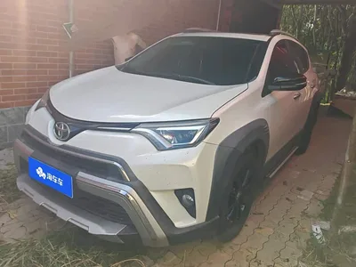 2019 Toyota RAV4 Rongfang 2.0L CVT 2WD Trend X Limited Edition China V, фото 1, лот 10298138