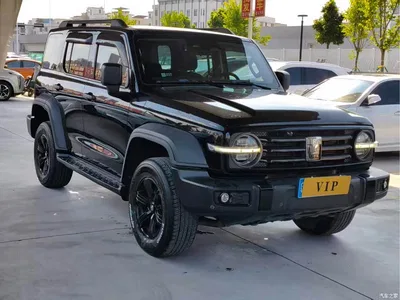 2021 Tank 300 Off-road Edition 2.0T Explorer, фото 1, лот 10344734
