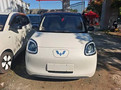 2025 Wuling Motors Hongguang MINIEV 4-Door Premium+ Edition, фото 3, лот 11565310
