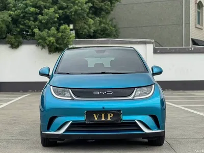 2021 BYD Dolphin Model 405km Fashion Edition, фото 2, лот 11363473