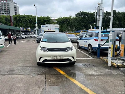 2021 BYD Dolphin Model 405km Fashion Edition, фото 3, лот 10255483