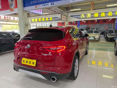 2017 Alfa Romeo Stelvio 2.0T 200HP Elite, фото 4, лот 10239815