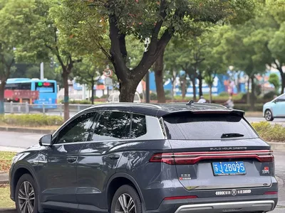 2019 BYD Song Pro 1.5T Automatic Luxury, фото 4, лот 11199224
