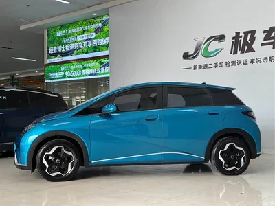 2021 BYD Dolphin Model 405km Fashion Edition, фото 2, лот 10256768