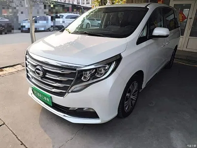 2018 GAC Trumpchi Trumpchi M8 320T Premium Edition, фото 2, лот 10804702