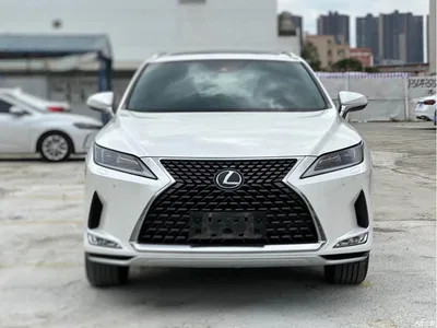 2020 Lexus RX 300 2WD Comfort Edition China VI, фото 2, лот 10316919