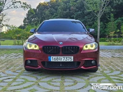 2010 BMW 5-Series 520d, фото 3, лот 10179167