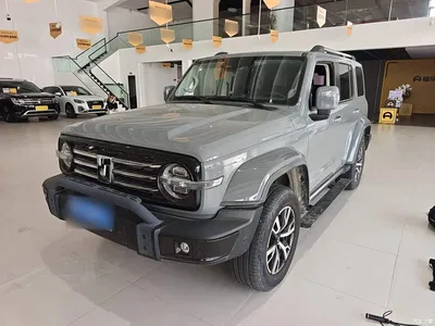 2021 Tank 300 Urban Edition 2.0T Stylish, фото 2, лот 10345471