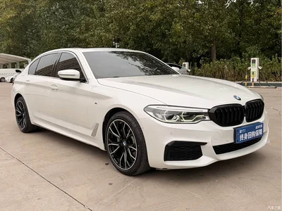 2020 BMW 5 Series 530Li Leading M Sport Package, фото 3, лот 10765036