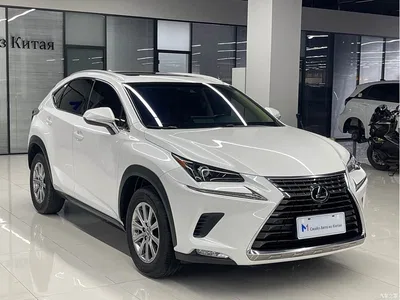 2018 Lexus NX Model 200 AWD Fengshang Edition China V, фото 2, лот 10318942