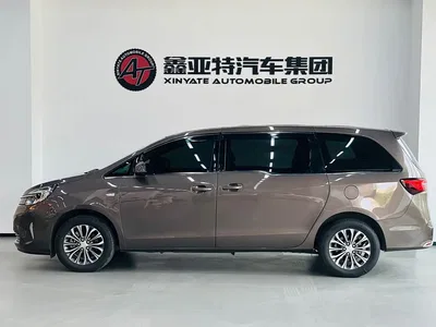 2021 Buick GL8 Land Business Class 652T Comfort, фото 4, лот 10246070