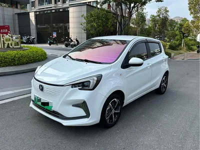 2020 Changan Benben E-Star Heartjoy Edition NCM, фото 2, лот 11476306