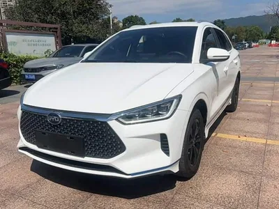 2020 BYD e2 Upgraded Long Range Luxury, фото 1, лот 11568887