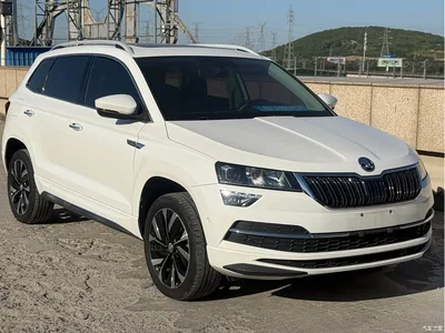 2022 Škoda Karoq TSI280 Luxury Edition, фото 3, лот 10348727