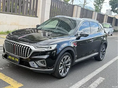 2019 Hongqi HS5 2.0T Smart Connect Enjoy 4WD Edition, фото 4, лот 10415727
