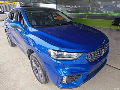 2020 WEY VV5 1.5T 2WD Style Pioneer, фото 4, лот 11183279