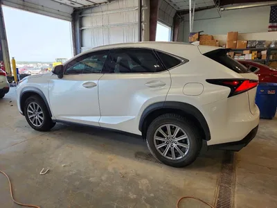 2019 LEXUS NX 300 BASE, фото 2, лот 10904836